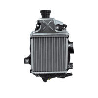 Radiator Assy