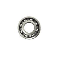 Bearing Radial Ball 6204