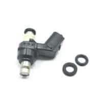 Injector Assy Fuel