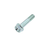 Bolt Flange DR 10X40