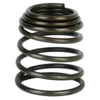 SPRING, OIL FILTER SCREEN