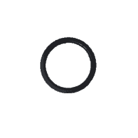 Dust Seal