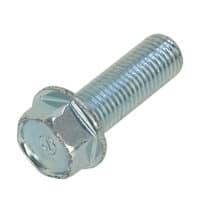 Bolt Flange 10X30