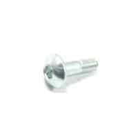 BOLT, SPECIAL, 6X20