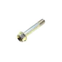 Bolt Flange DR 10X55