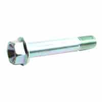 Bolt Flange DR 10X55