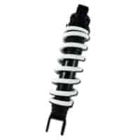 Cushion Assy RR