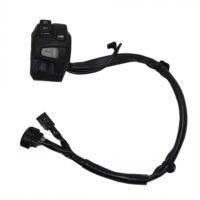 Switch Assy Winker