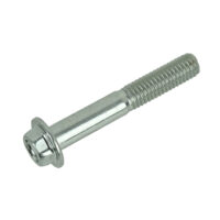 BOLT, KNOCK S-NSHF 6X40