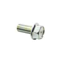 Bolt Flange 8X18