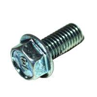Bolt Flange 8X18