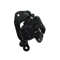Caliper Sub Assy L FR