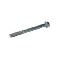 BOLT FLANGE SH 6X60