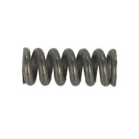 SPRING BEARING PUSH