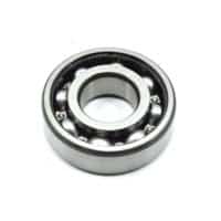 BRG,BALL RADIAL 6302