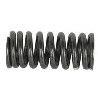 Spring Valve