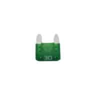 Fuse Mini 30A