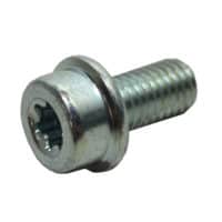 Bolt Torx 8X16