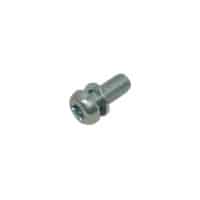 Screw Washer 5X12 (TORX)