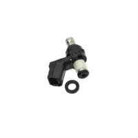 Injector Assy Fuel