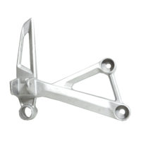 Holder R Pillion Step