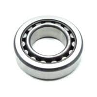 Bearing Roller 30X58X17