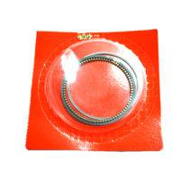 Ring Set Piston (STD)
