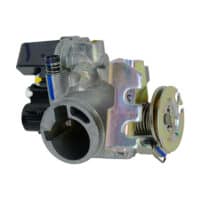 Throttle Body Assy
