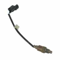 Sensor Oxygen (DS)