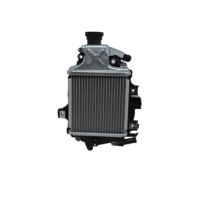 Radiator Assy