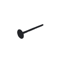 Valve Exhaust