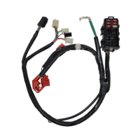 Sub Harness Battery