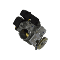 Throttel Body Assy