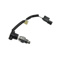 Sensor Oxygen