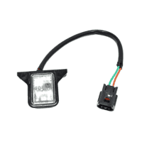 Light Assy License