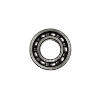 BRG BALL RADIAL 6004