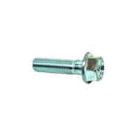 BOLT,FLANGE 8X30