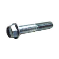 BOLT FLANGE 10X55
