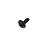 SCREW PAN 5X13