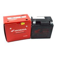 BATTERY GTZ6V