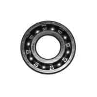 BRG,BALL RADIAL 6204