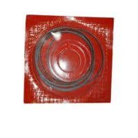 Ring Set Piston (0.25)