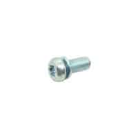 Screw Washer Torx (5X12)
