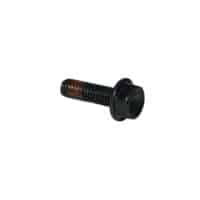 Bolt, Flange, 6X20