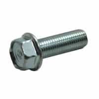 Bolt Flange 10X30