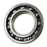 BRG BALL RADIAL 6007