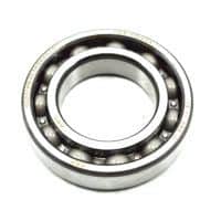 BRG BALL RADIAL 6007