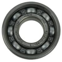 BRG, BALL RADIAL 6202