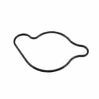 Gasket Water Pump