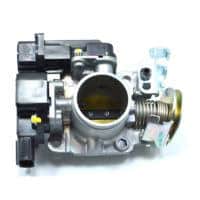 Throttle Body Assy (GQ1LA A)